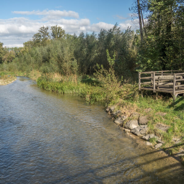 Fluss Venoge mit bewaldetem Ufer und hölzerner Aussichtsplattform.