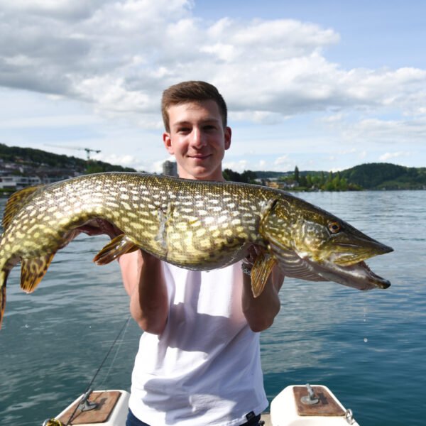 Eine lächelnde Person auf einem Boot hält einen großen Fisch mit gemusterten Schuppen über dem Wasser des Vierwaldstättersees, mit Hügeln, Häusern und einem teilweise bewölkten Himmel im Hintergrund.