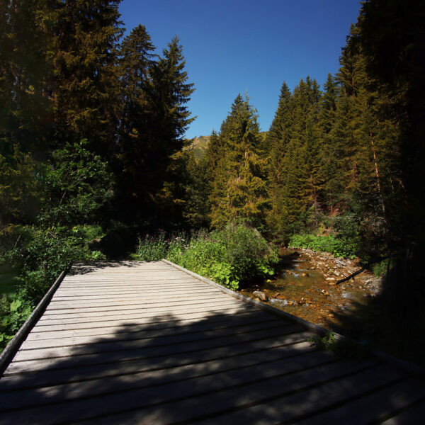 Holzbrücke über Vièze de Morgins, umgeben von grünen Bäumen und klarem Wasser.