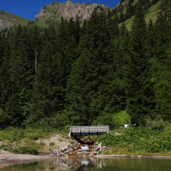 Brücke über Vièze de Morgins in den Bergen, Spiegelung im See.
