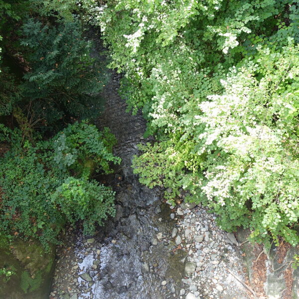 Bachlauf der Vuachère, umgeben von üppigem Grün und Steinen.