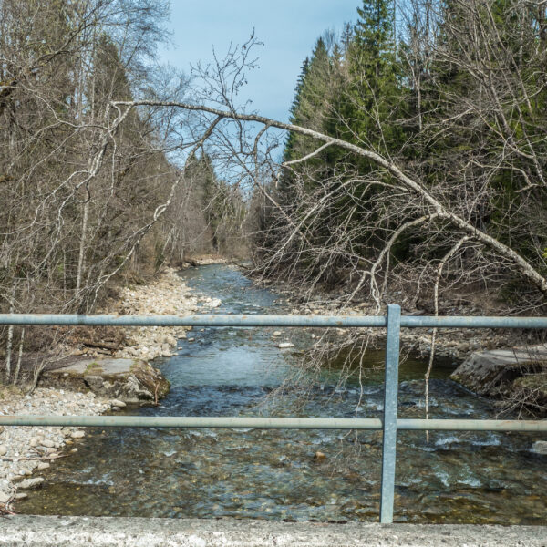 Waldemme Flusslandschaft mit Bäumen im Frühling, gesehen von einer Brücke.