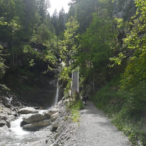 Ein Kiesweg führt entlang eines felsigen Baches und führt zu einer Treppe, die einen bewaldeten Hang hinaufführt, wo ein Wasserfall zwischen hohen Bäumen und üppigem Grün zu sehen ist.