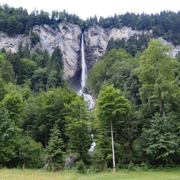 Wandelbach Wasserfall stürzt über eine Felswand, umgeben von üppigem Grün.