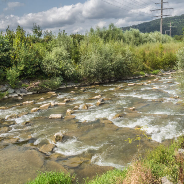 Fluss Wigger mit Steinen und üppigem Grün am Ufer unter bewölktem Himmel.