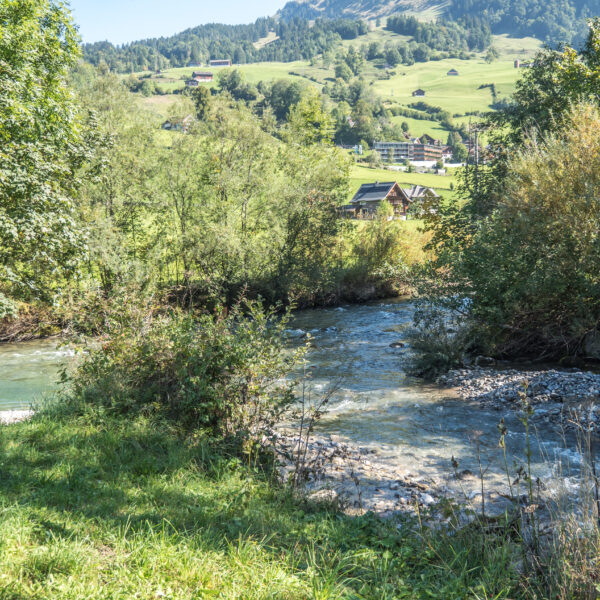 Fluss Wiss Thur mit Blick auf grüne Hügel und Häuser.