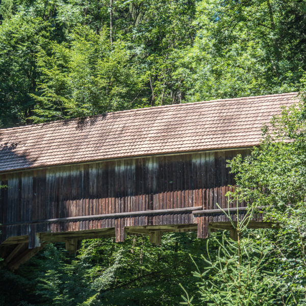Gedeckte Holzbrücke im Grünen, Wissbach.