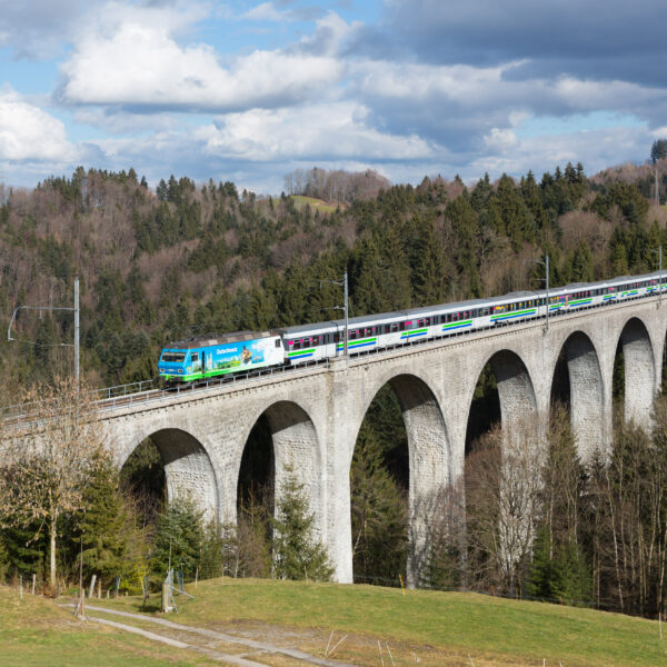 Zug über das Wissbachviadukt, eine beeindruckende Steinbogenbrücke in grüner Landschaft.