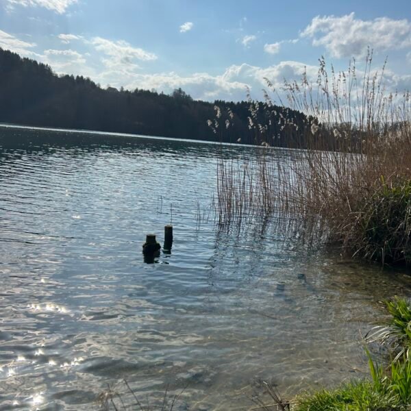 Das Sonnenlicht scheint auf einen ruhigen See mit klarem Wasser, Schilf entlang des Ufers, ein paar Holzpfähle im Wasser und einen bewaldeten Hügel im Hintergrund bei teilweise bewölktem Himmel.
