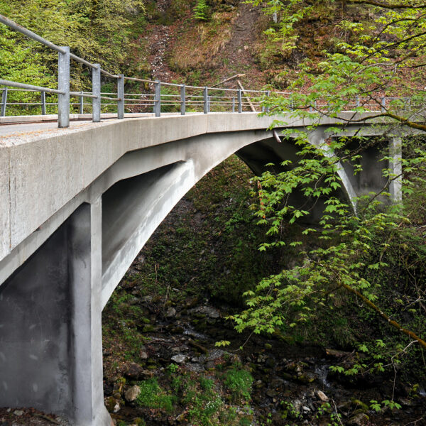 Betonbogenbrücke über den Ziggenbach, umgeben von grüner Natur.