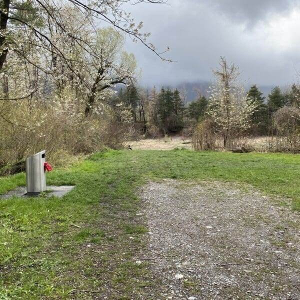 Ein Schotterweg führt in eine grasbewachsene Lichtung am Zizerser Weiher, umgeben von Bäumen und Büschen. Links steht unter einem bedeckten Himmel mit dunklen Wolken ein metallener Trinkbrunnen, an dem ein rotes Objekt hängt.