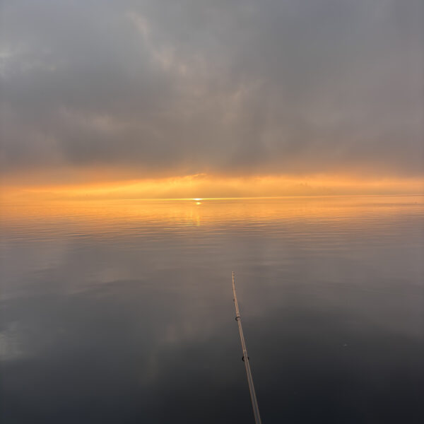 Eine Angelrute erstreckt sich über ruhiges, spiegelndes Wasser bei Sonnenaufgang oder Sonnenuntergang, mit sanftem goldenem Licht, das am Horizont unter einem bewölkten Himmel leuchtet.