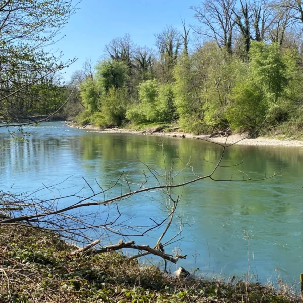 bei Fischbach Göslikon