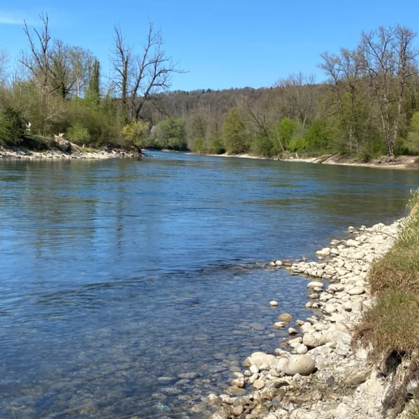 bei Fischbach Göslikon