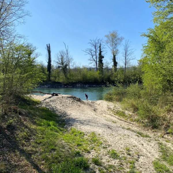 bei Fischbach Göslikon