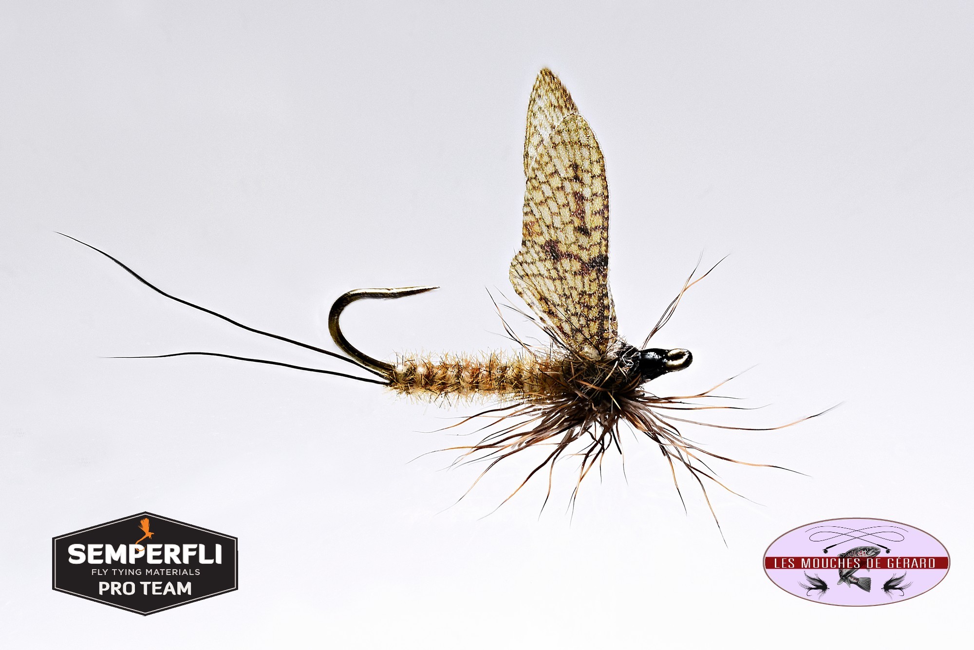 Gebundene Fliege für das Fliegenfischen, Semperfli "Pro Team", Les Mouches de Gerard.