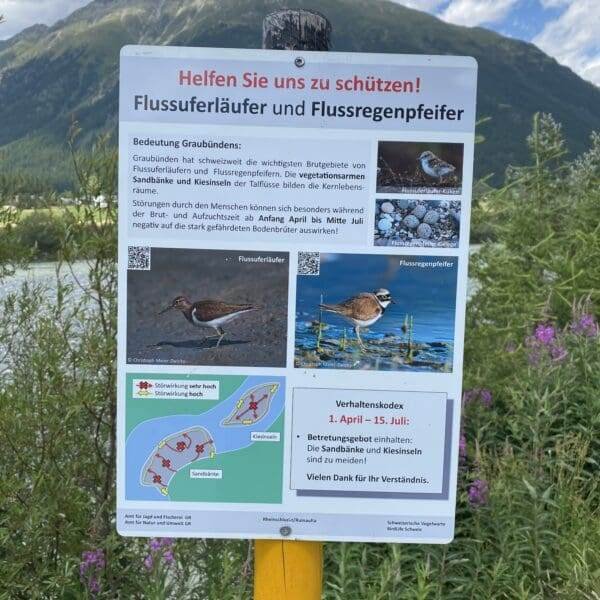 Ein Schild an einem Seeufer mit Bergen im Hintergrund erklärt die Bedeutung des Schutzes von Flussufervögeln und zeigt Fotos von Vögeln, eine Karte und Verhaltensrichtlinien in deutscher Sprache, umgeben von grünen Pflanzen.